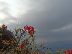 -广东天露山旅游度假区