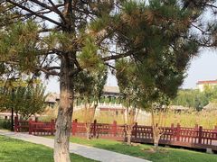 -西海子公园