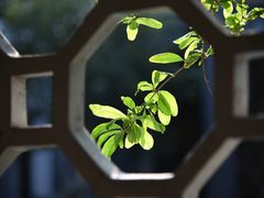 -广州神农草堂中医药博物馆