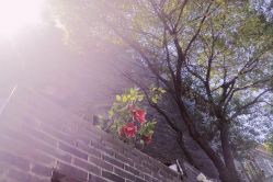 -MyStyle美发沙龙