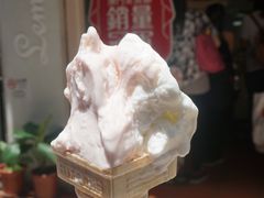 -柠檬车露(卖草地店)