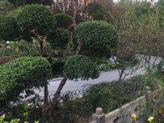 -兰溪青年公园