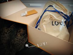 -LV路易威登(王府井半岛酒店)