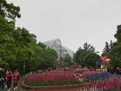 -南山植物园