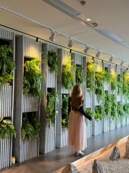 -VELEE·SPA高定疗愈会所