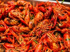 -上海大宁福朋喜来登酒店大堂吧(共和新路店)