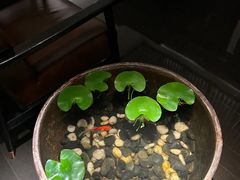 -曲水兰亭(北京四惠店)