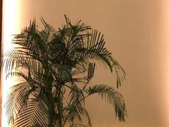 -阿斯牛牛·凉山菜(新会展店)