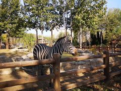 -大连森林动物园