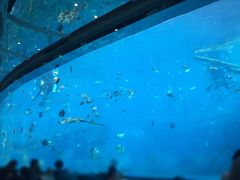 -瑞德姆美人鱼海底演艺主题餐厅(亚龙湾店)