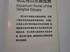 -上海长江河口科技馆