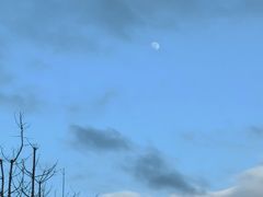 -杭州城北体育公园