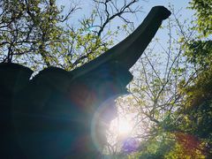 -狼山风景名胜区