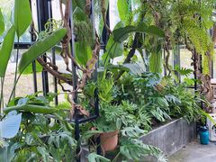 -北马山庄植趣咖啡
