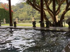 -碧水湾温泉