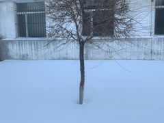 -哈尔滨商业大学(南校区)