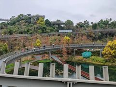 -福道