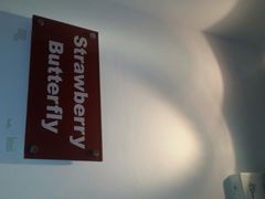 android_upload_pic-Strawberry Butterfly草莓蝴蝶日式水果挞