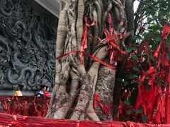 景点-鼎湖山风景区