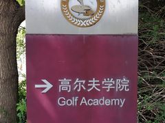 -金鸡湖高尔夫会员专属俱乐部