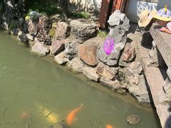 -上海醉白池公园