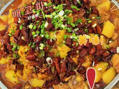 -新疆沙湾大盘鸡(重师店)