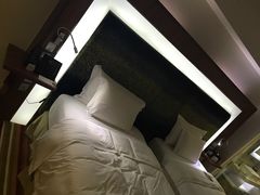 -郑州美豪诺富特会展中心酒店