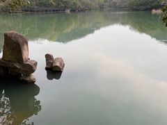 -白马涧龙池景区