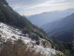 -朱雀国家森林公园