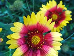 -永定河休闲森林公园