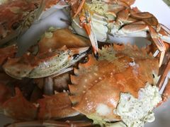 -锋味海鲜菜馆