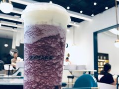 -森茶(湛江万达店)