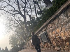 -烟台山景区