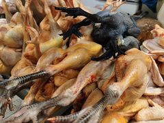 -岳各庄批发市场(西四环中路店)