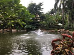 -厦门日月谷温泉渡假村