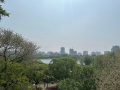 -莲花池公园