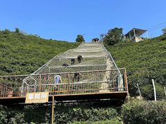 -长沙黑麋峰国家森林公园