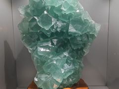 -甘肃地质博物馆