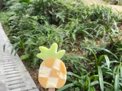 -广州市帽峰山景区