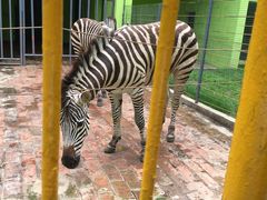 -荆州中山公园动物园