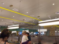 -润园四季椰子鸡火锅(南山海岸城店)