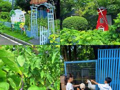 -成都安仁福朋喜来登酒店