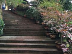 -峨眉山报国寺