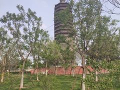 -西海子公园
