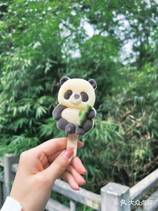 中国大熊猫保护研究中心雅安碧峰峡基地图片