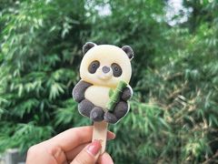 -中国大熊猫保护研究中心雅安碧峰峡基地