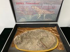 -中国第四纪冰川遗迹陈列馆