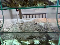 -凯华海鲜火锅·传承三十六年