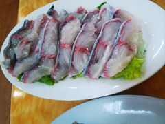 -金砂阿洲鱼册店