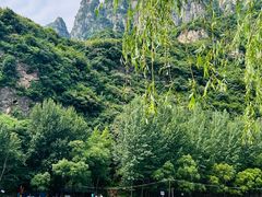 -武家湾景区